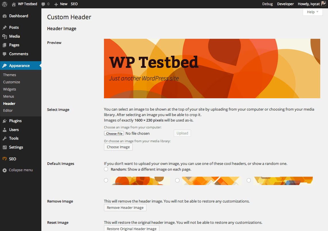 WordPress › Custom Headers « Make WordPress Documentation