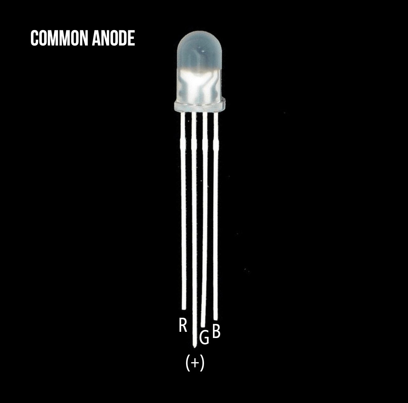 L6 RGB LEDs Physical Computing