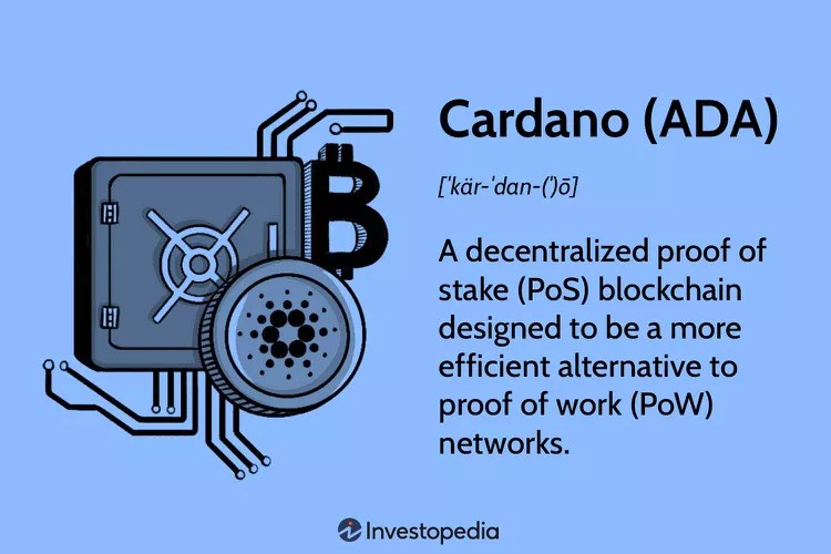 Top 10 Cardano NFT Projects You Must Eye On 2023