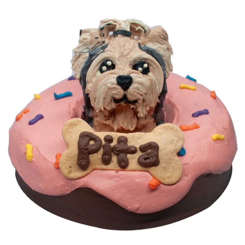 Make and Bake for Pets Pet Bakery Custom Cakes for Pets