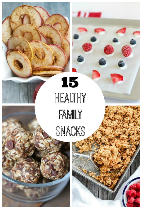 15 Healthy Snacks for the Whole Family Make and Takes