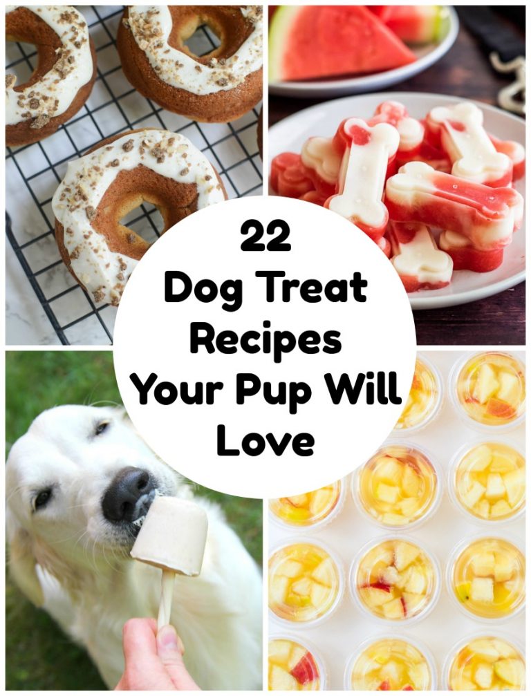 22 DIY Dog Treats Your Pup Will Love Make and Takes