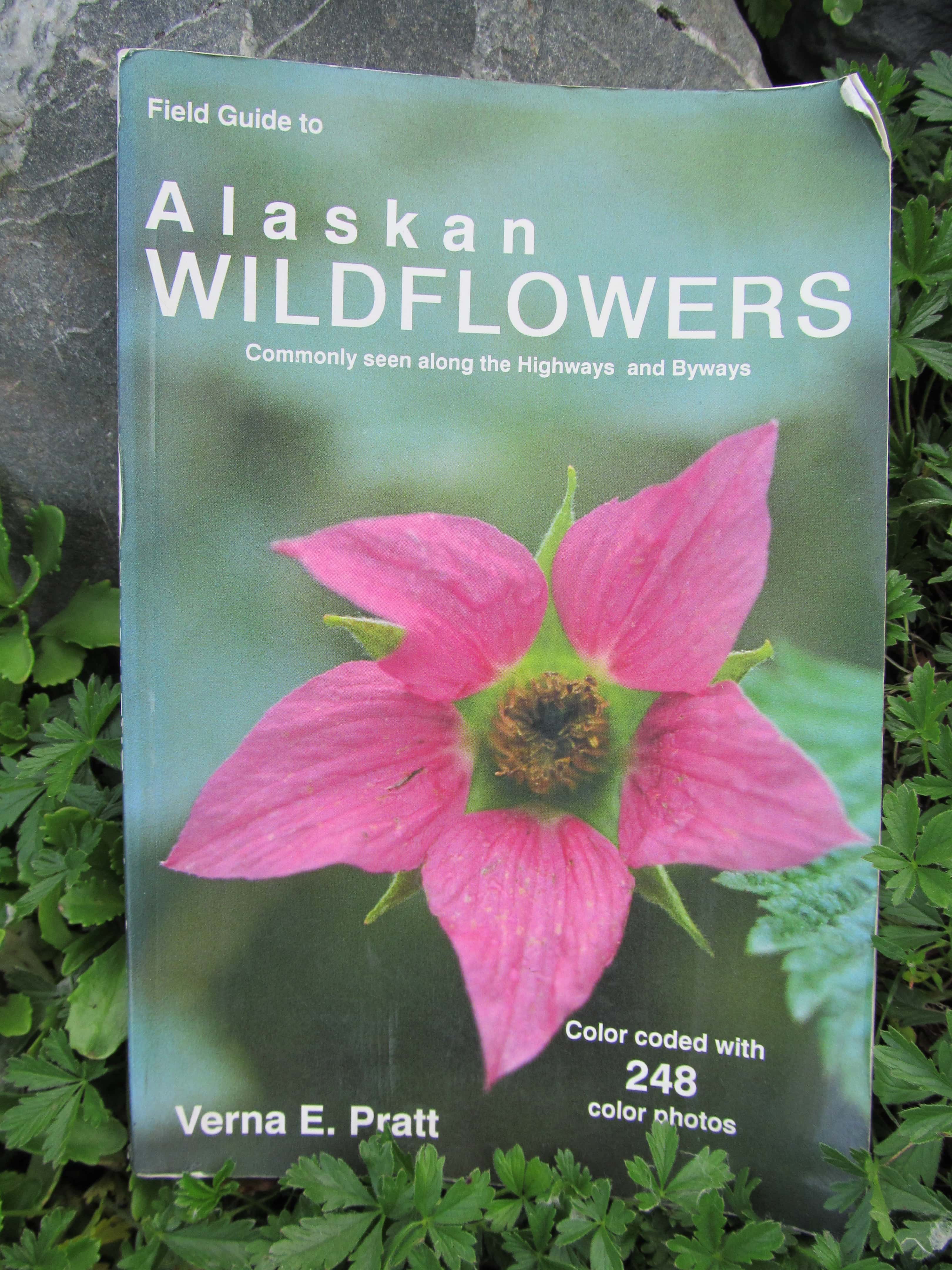 Meet Alaska's Wildflowers in Summer Make it a Garden