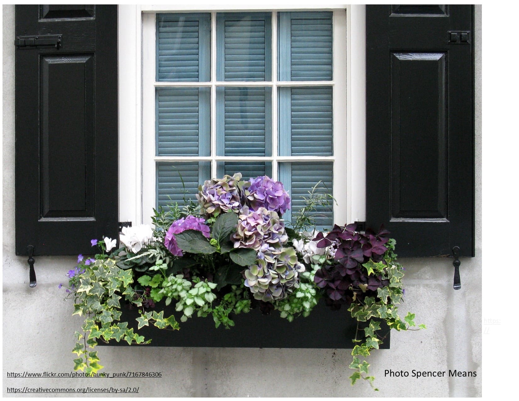 How to plant window boxes that envy Make it a Garden