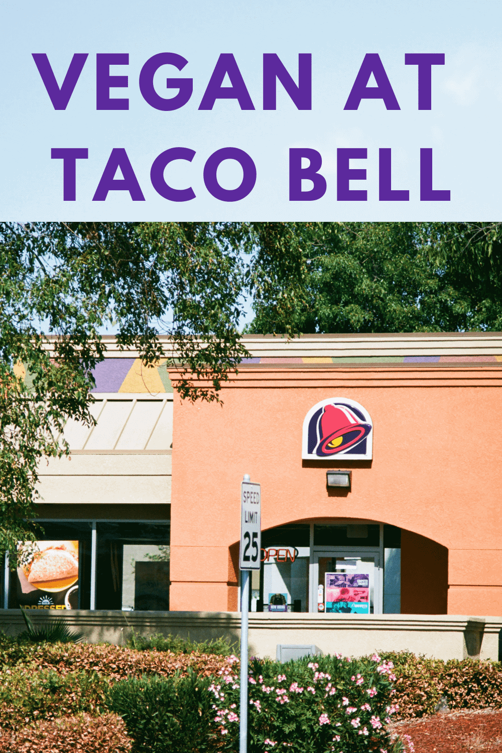 Taco Bell's Vegan Menu Make It Dairy Free