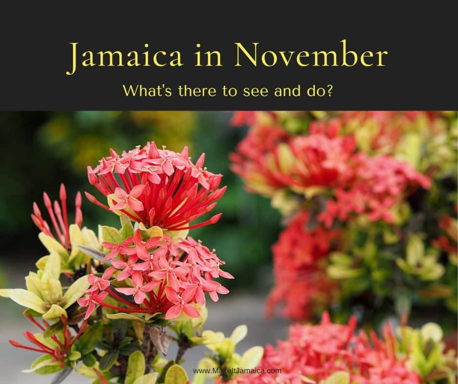 Jamaica in November What's it like in Jamaica Updated 2025