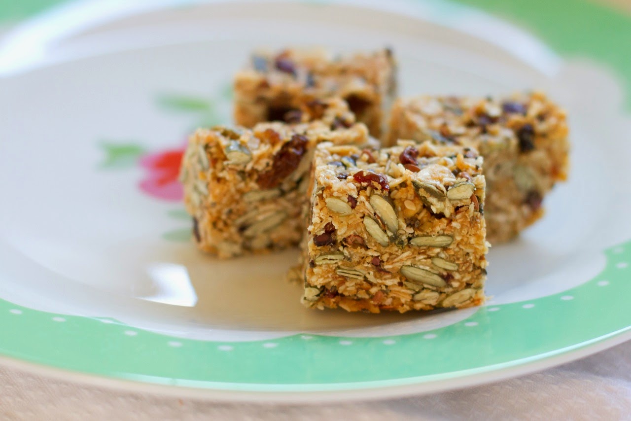 .Thermomix Cooking Birdseed Bars with NO refined sugar. • Make It Perfect