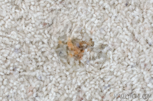 How to Remove Rust Stains from Carpet