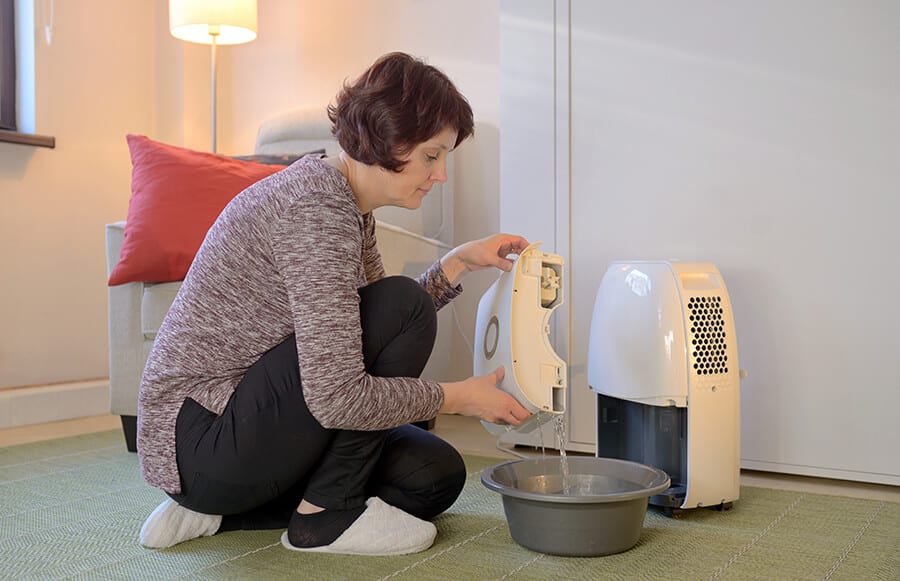Do Dehumidifiers Use A Lot Of Electricity? (2024)