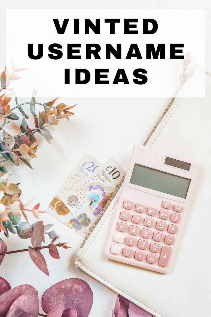 Vinted Username Ideas & Generator (Best Names for 2026) Make Money(04)