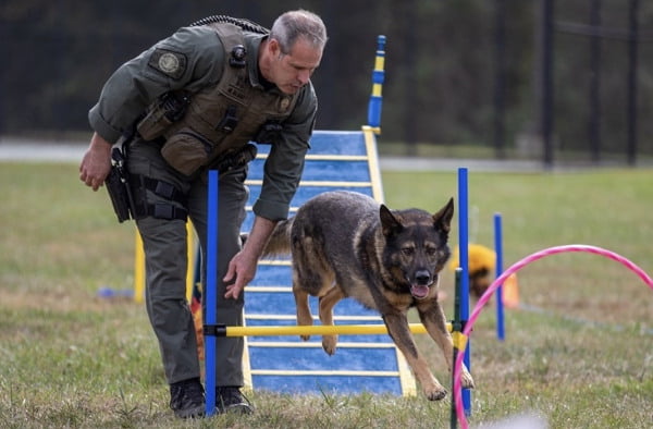 About the Owners Make My Day Please in Gainesville Virginia