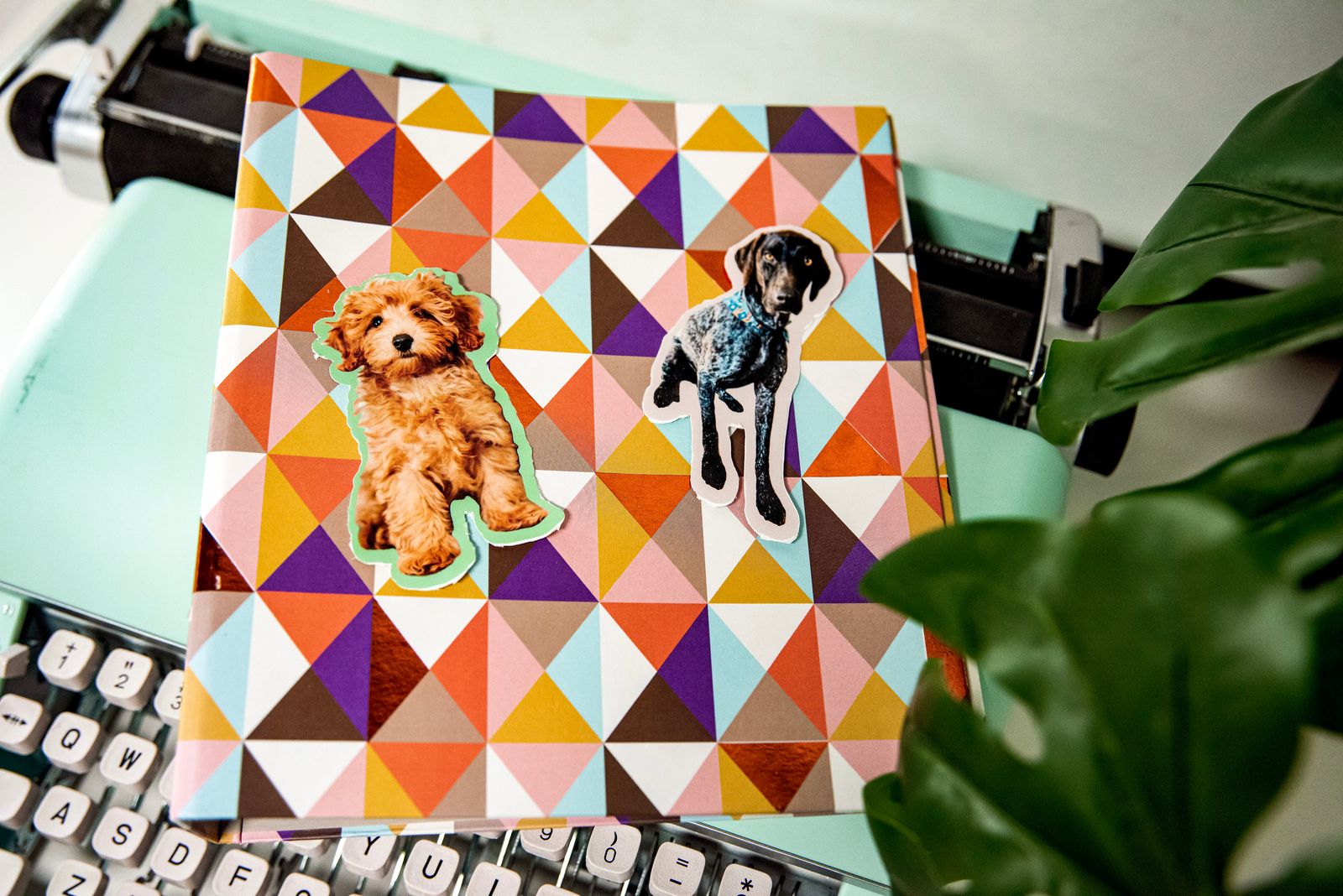 Cricut Background Removal Tool Makers Gonna Learn