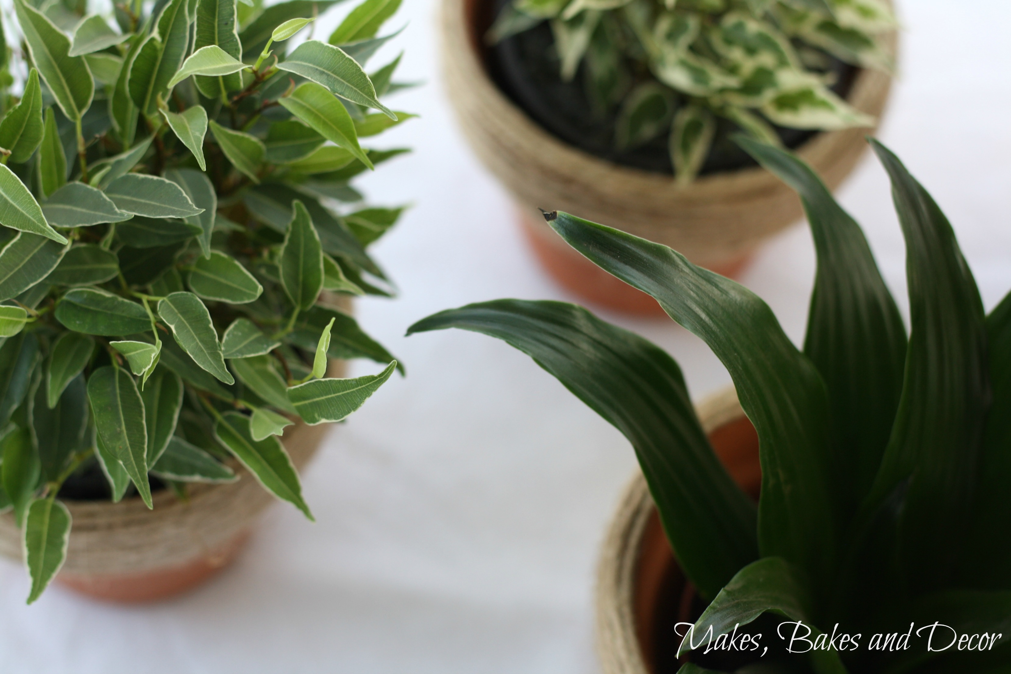 Twine Wrapped Plant Pots Makes, Bakes and Decor