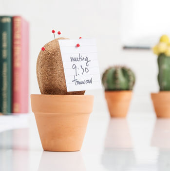 50 Cactus Home Decor Finds - Makes, Bakes and Decor