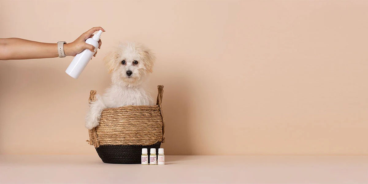 Make Your Own Natural Pet Care Products makesy®