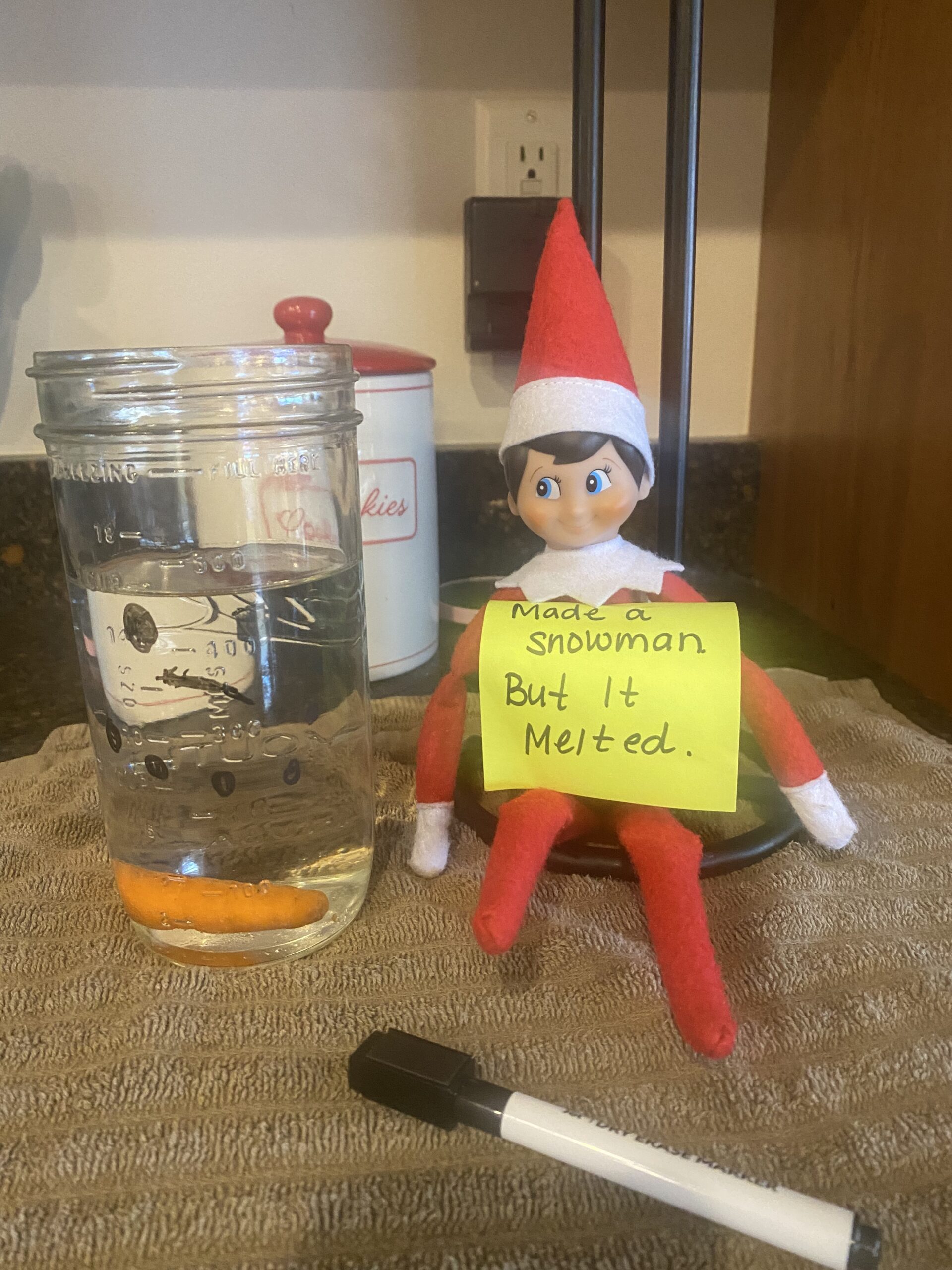 Top 50 Elf Ideas for 2023