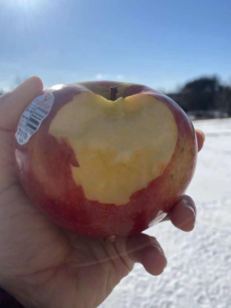 5 on the go snacks to make with apples Make the Best of Everything