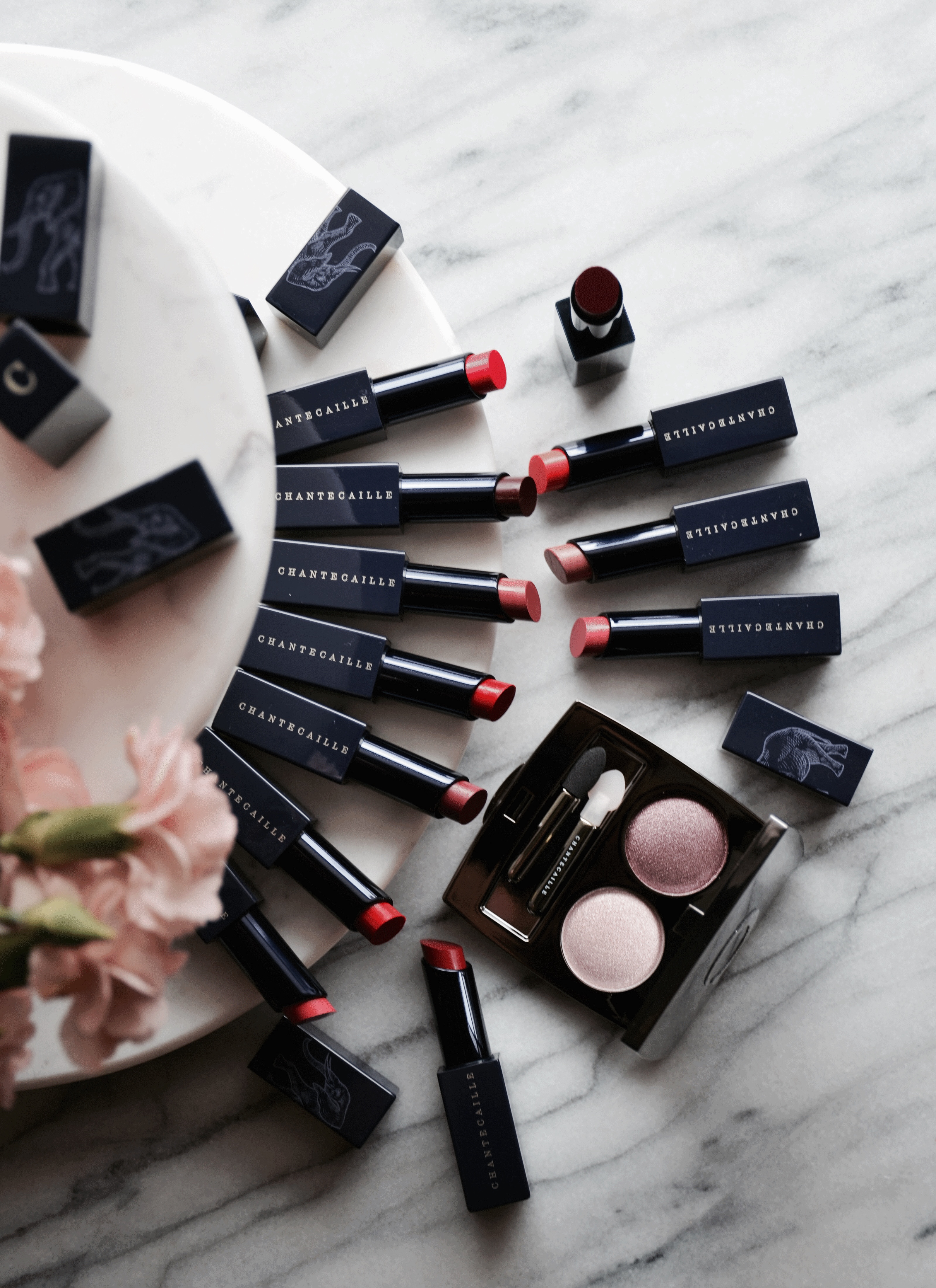 Chantecaille Lip Veil Review & Swatches MakeupSessions