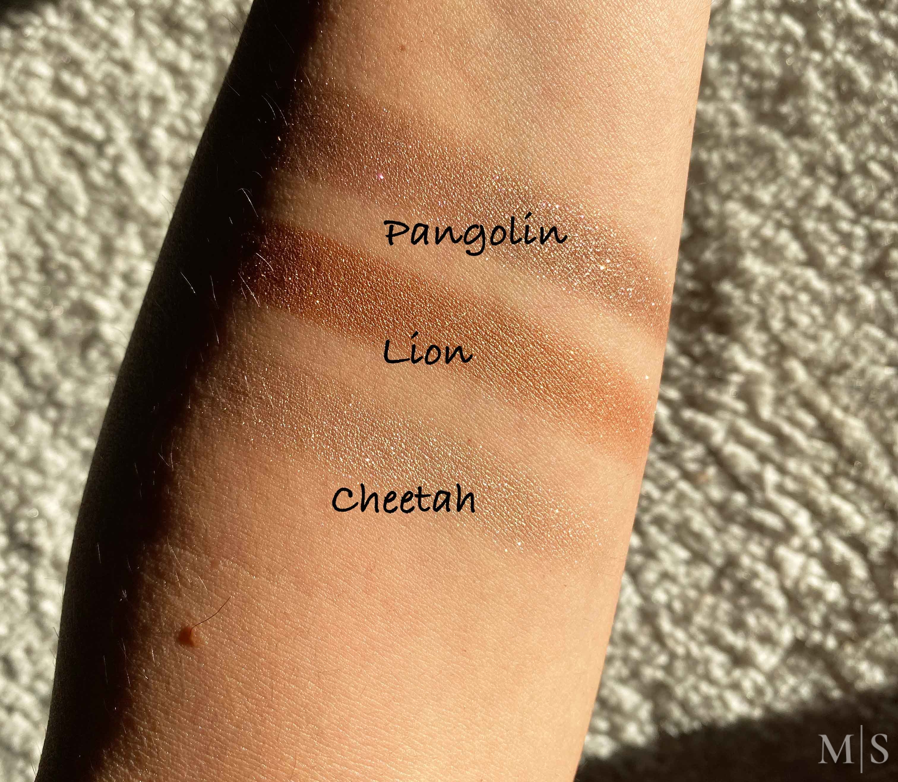 Chantecaille Fall 2019 Collection Review & Swatches MakeupSessions