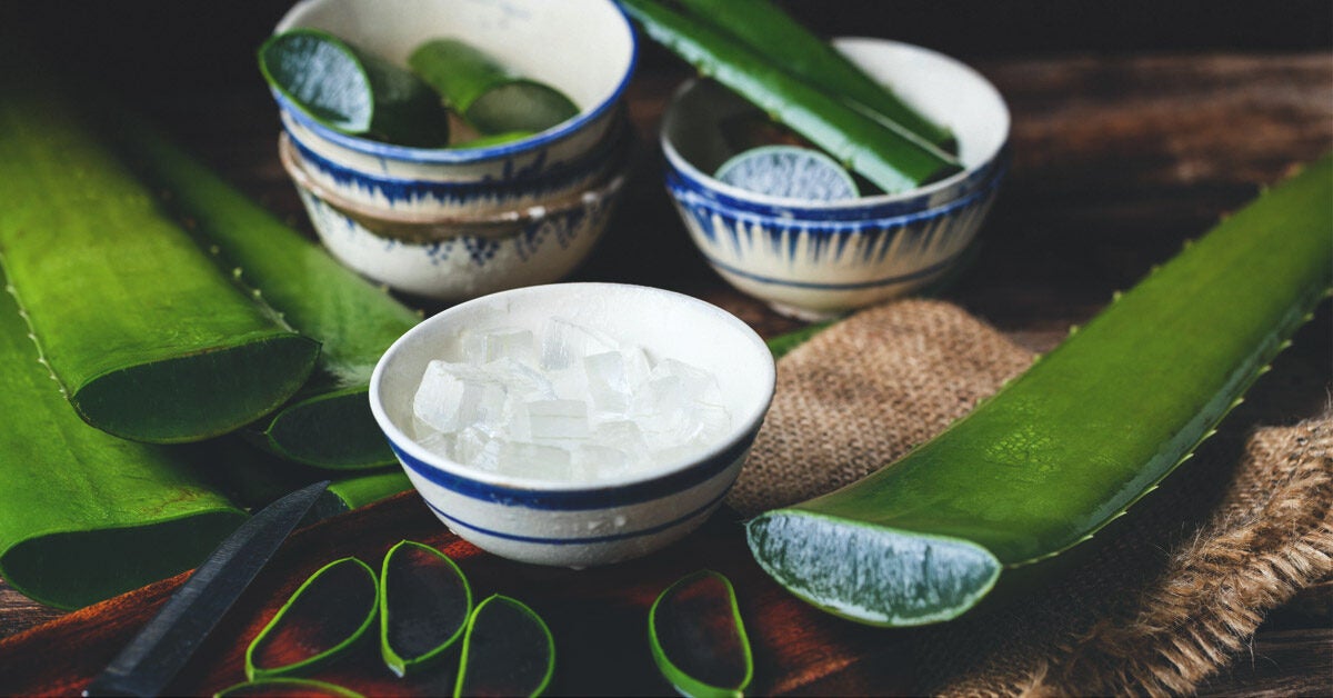 Does Aloe Vera Remove Melasma? Makeup Analysis