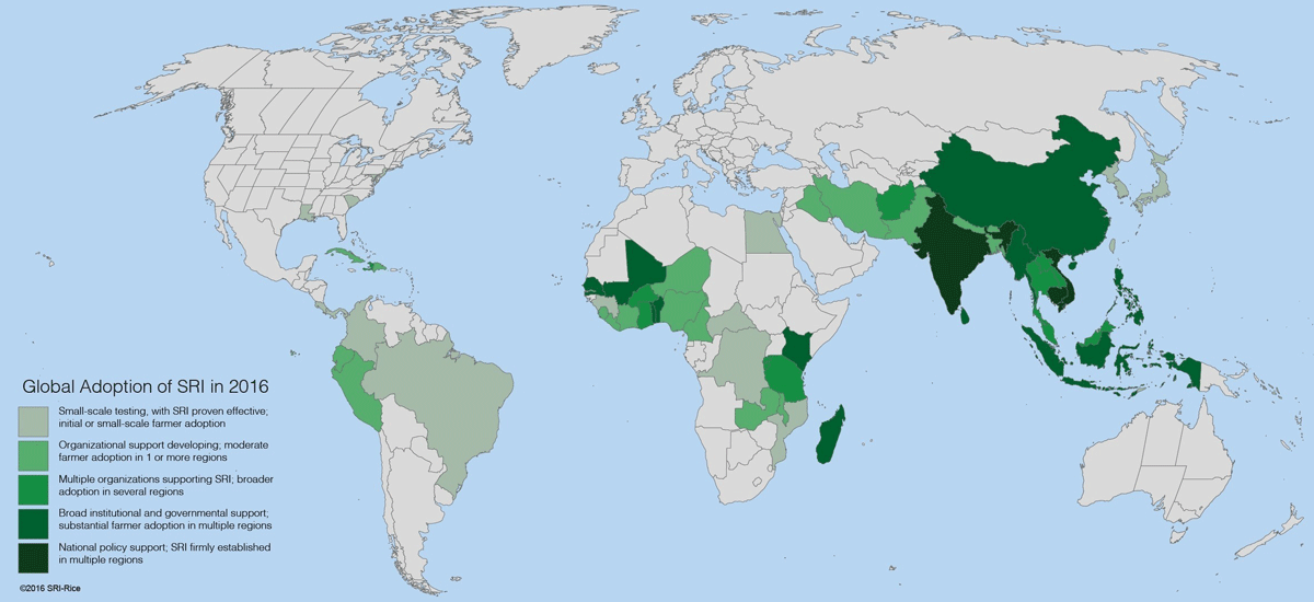 The climate impact of rice The Earthbound Report