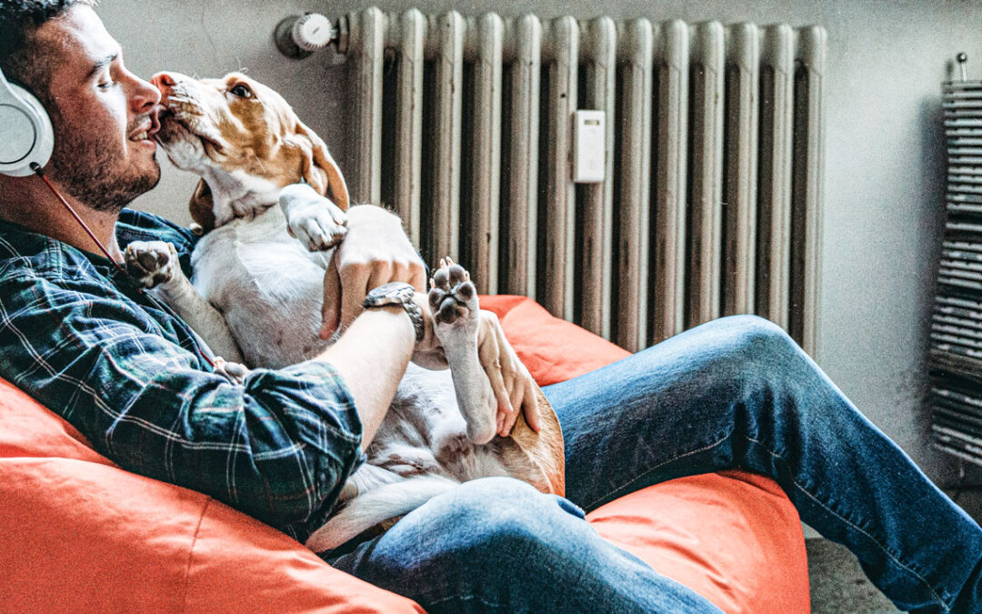 Ogden, Utah Dog Training Renewing Lessons