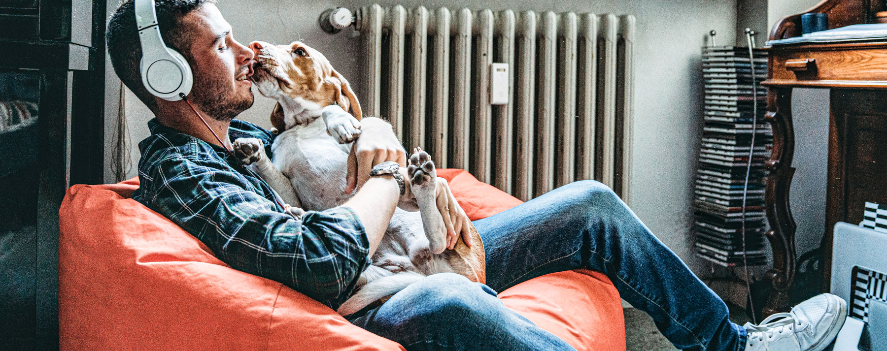 Ogden, Utah Dog Training Let Us Put In The Hours