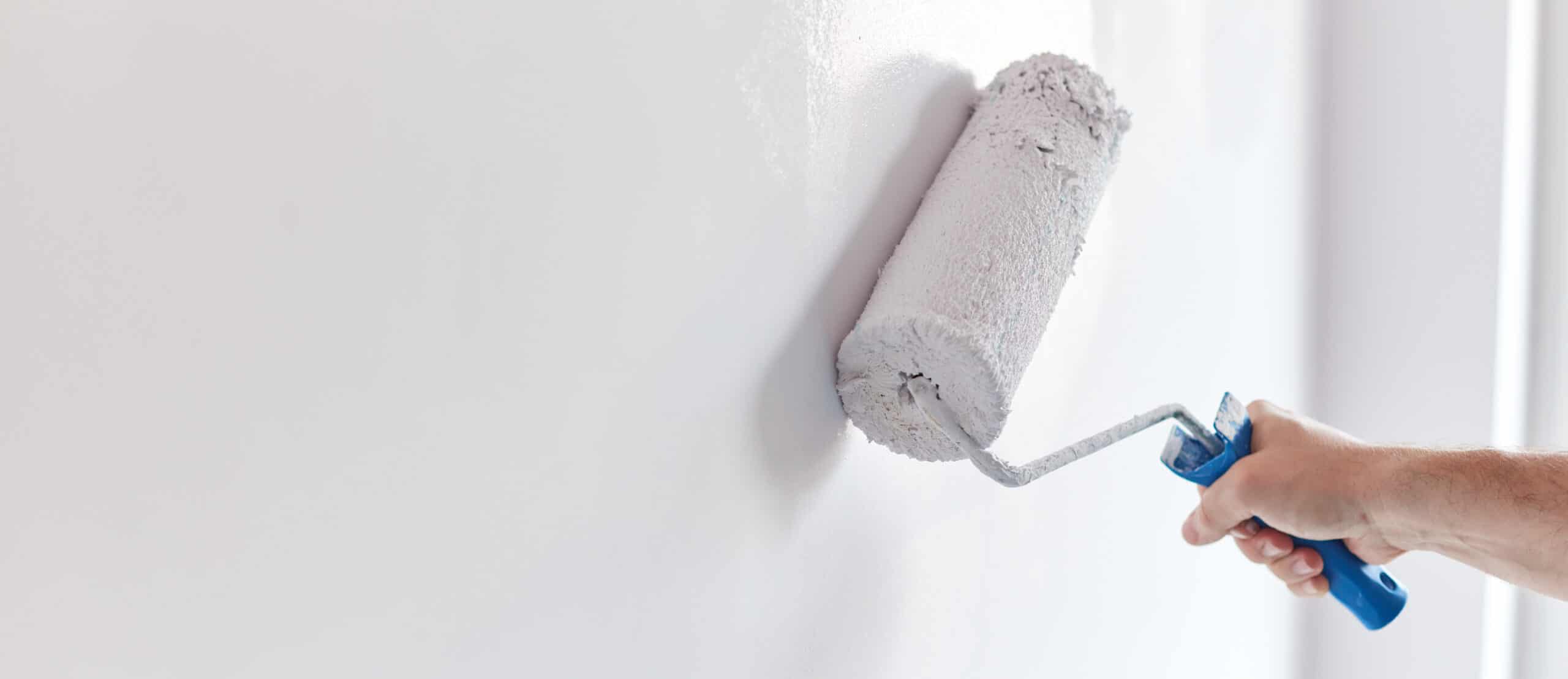 Should You Reuse Paint Rollers? (Solved) Make Your Home Safer