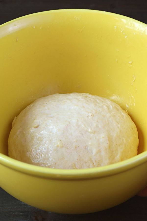 rising bread dough Make Your Meals