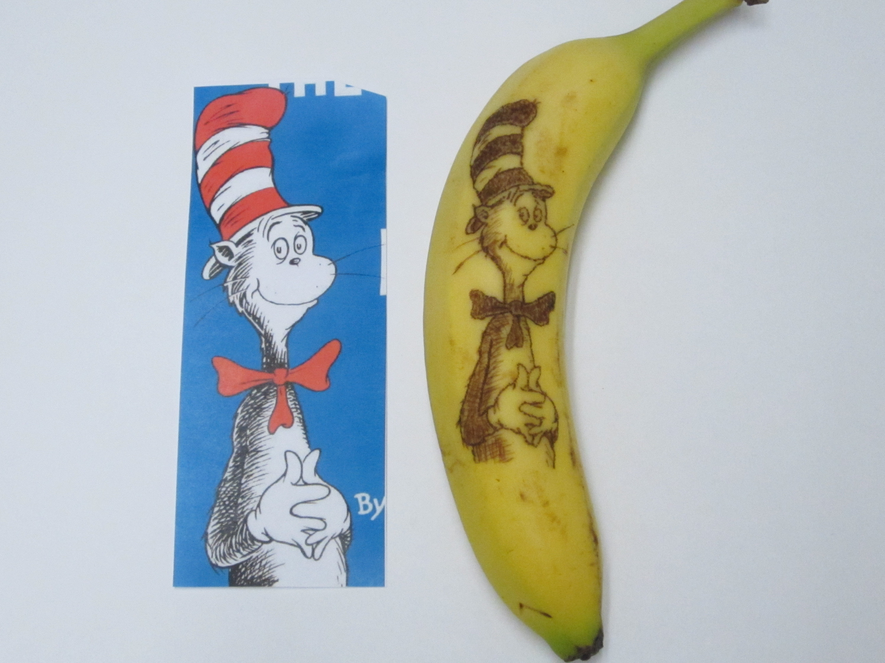 Banana Oxidation Art Make