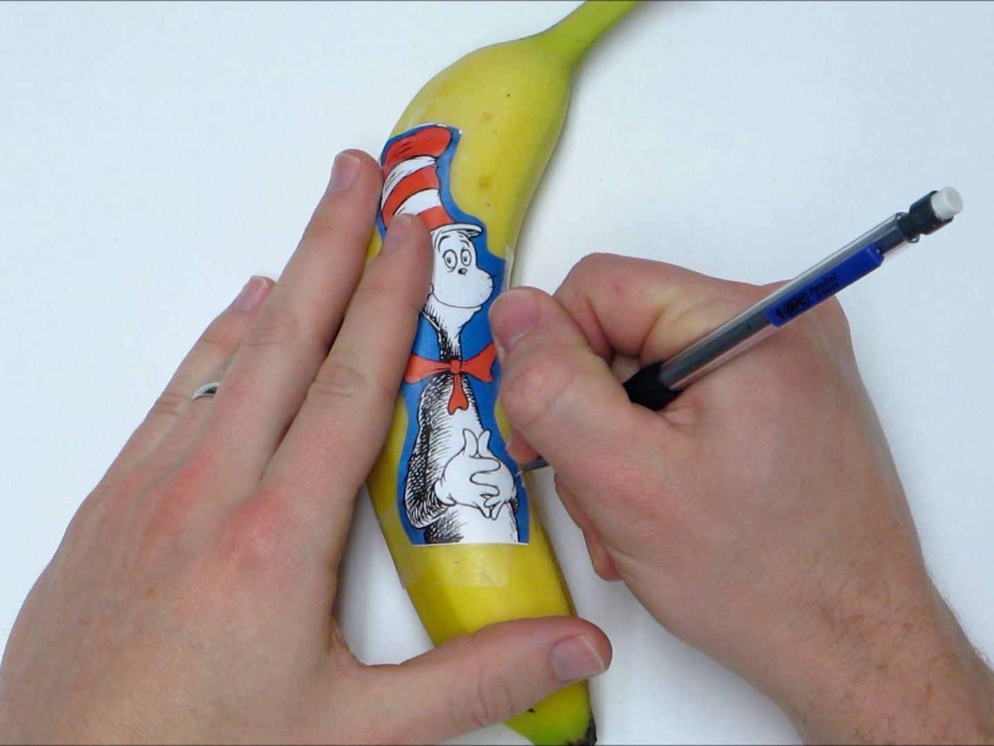 Banana Oxidation Art Make