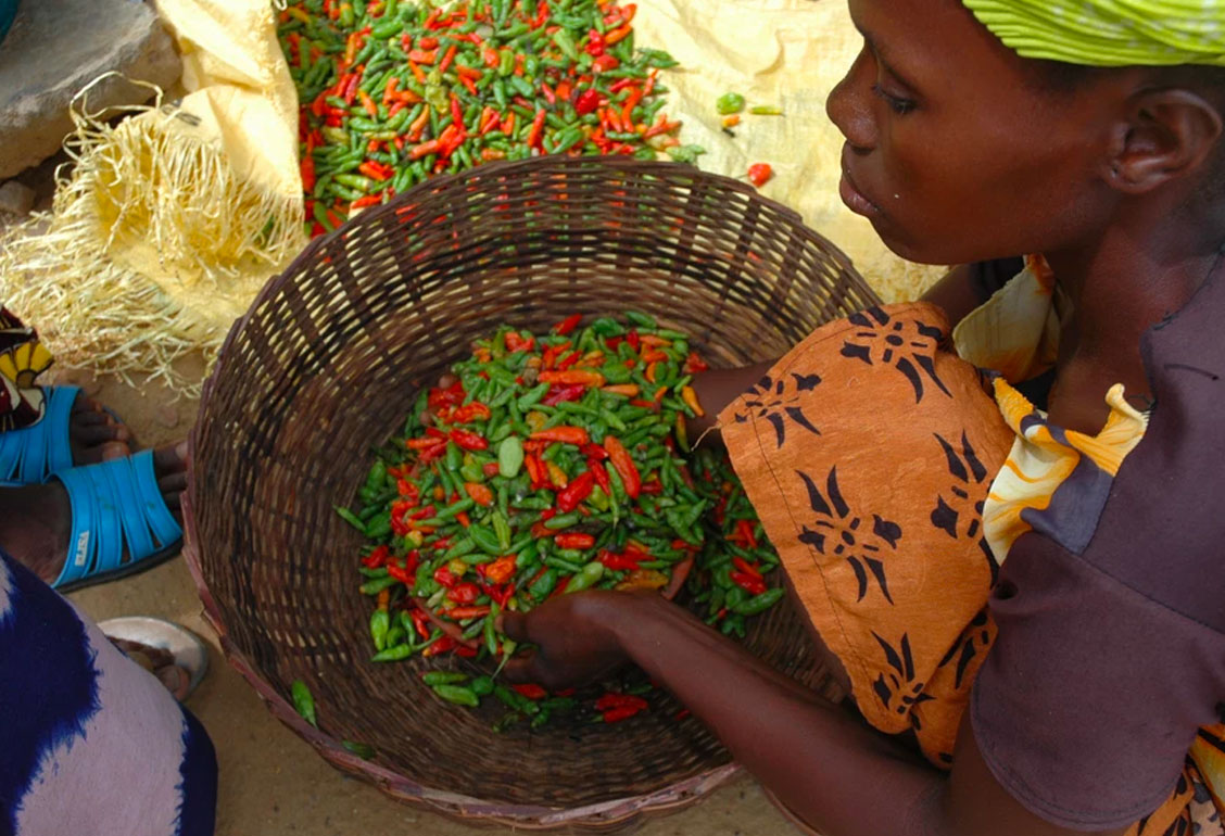 The Pivot to Yes Positive Youth Development and Our Agriculture