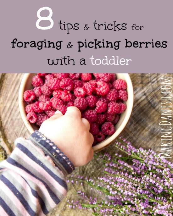 8 tips & tricks for foraging & picking berries with a toddler