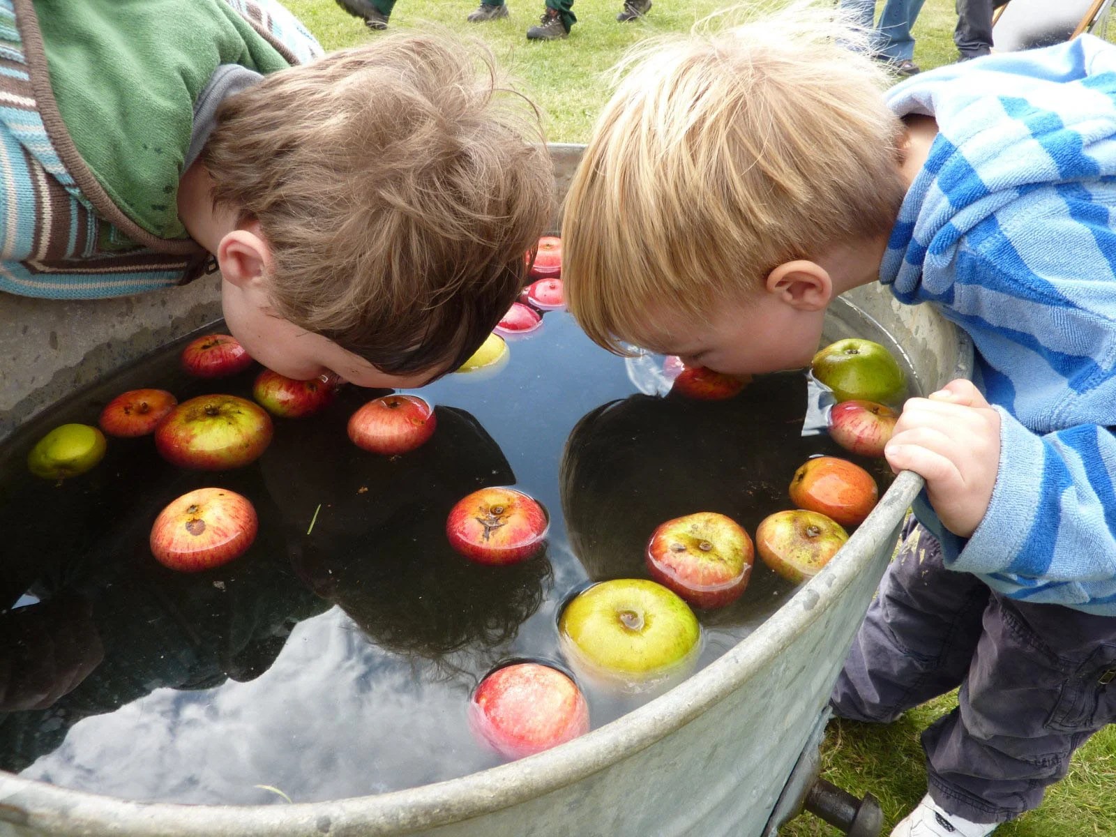 Apple Bobbing Перевод Telegraph