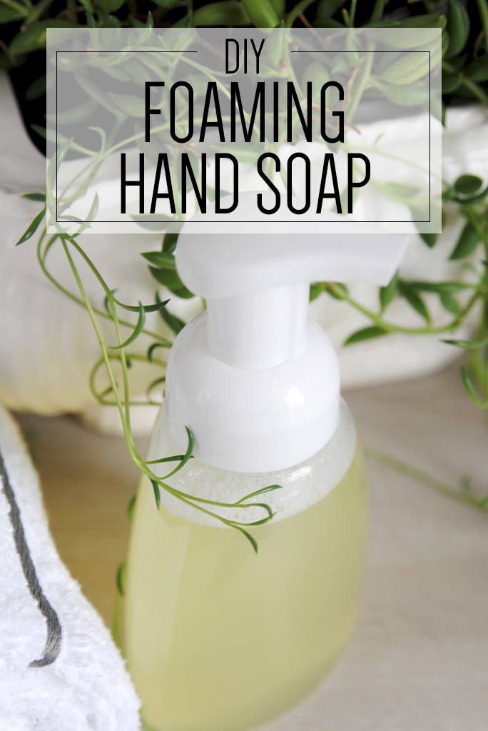 Foaming Hand Soap Recipe Dandk Organizer