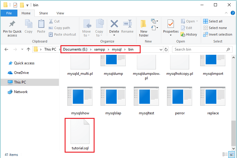 How to export MySQL database using Command Line Makitweb