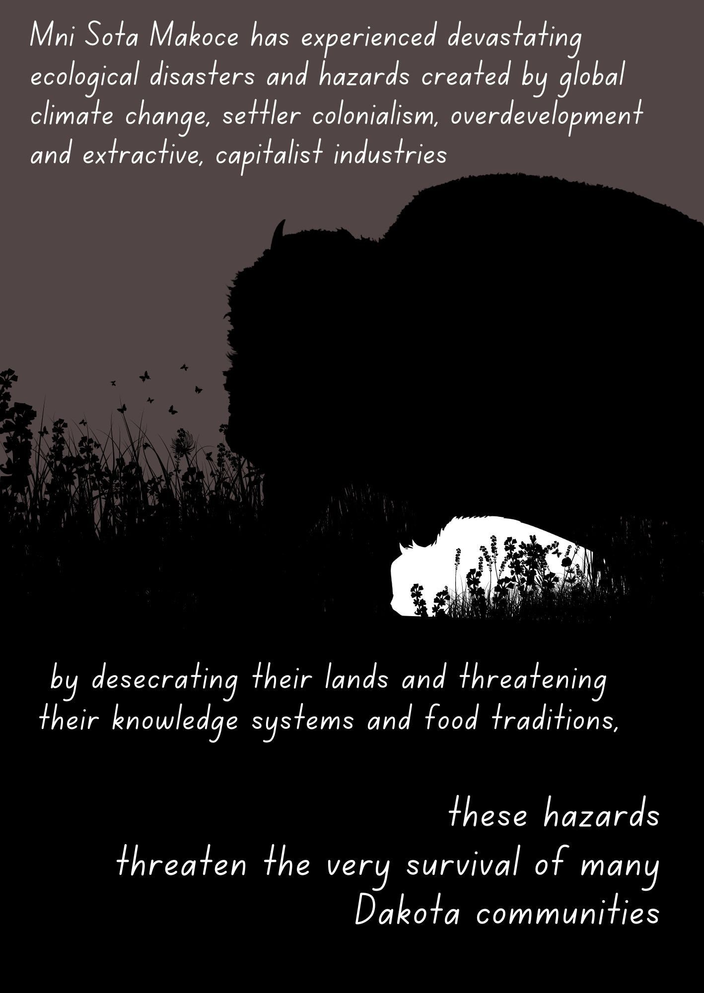 Supporting Dakota Land Justice zine Makoce Ikikcupi (Land Recovery)