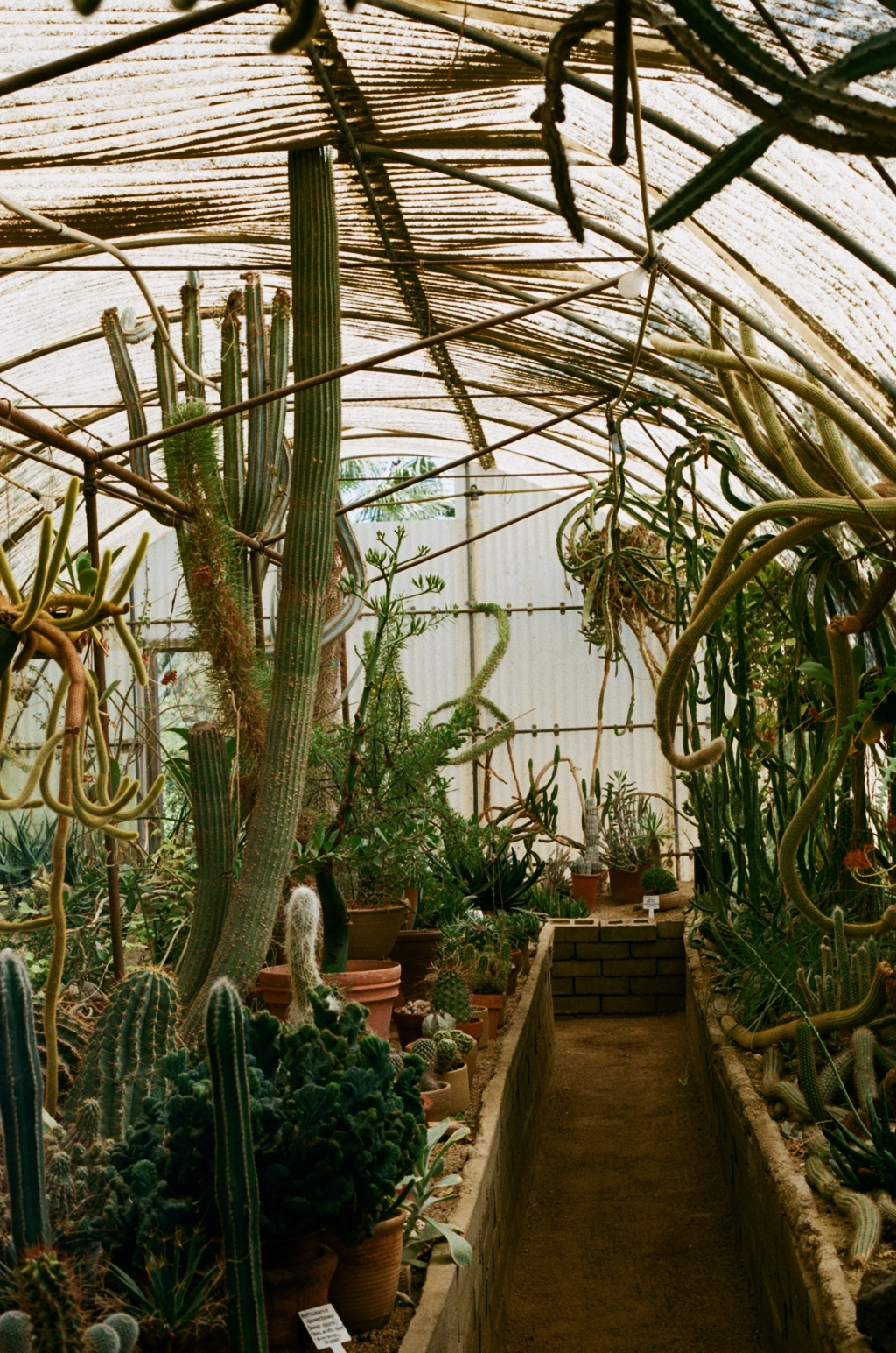 Film Photography Club