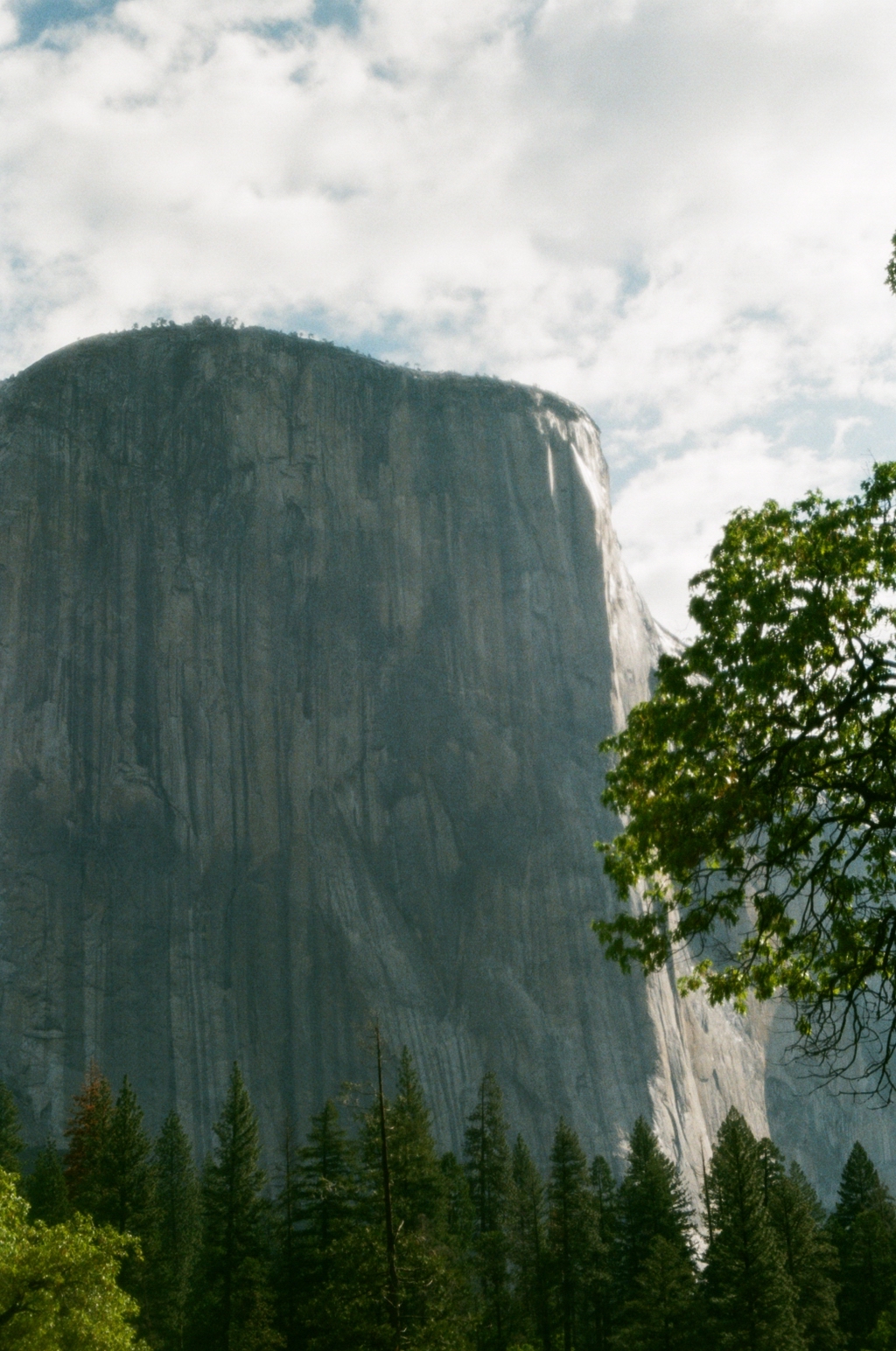 Film Photography Club