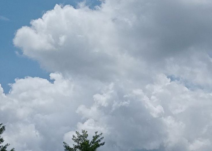 Ruang Metaverse Mendekati Rampung, Fapet UB Siap Buka Prodi Peternakan