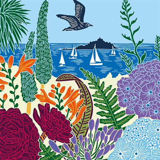 Sailing Boats Malarkey Cards