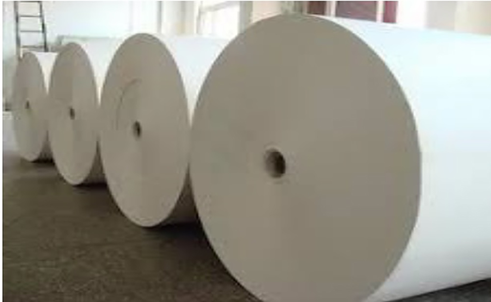 Newsprint industry overrun by digital, pandemic the last str