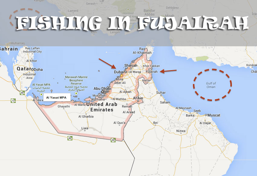 Tips You Must Know for Fishing in Dubai Mala Yachts