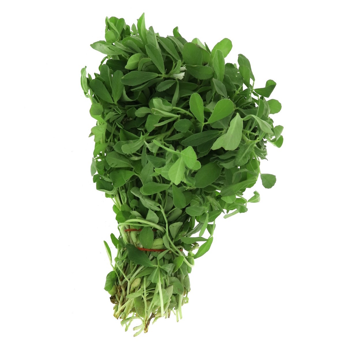 Fenugreek leaves ഉലുവ ഇല Methi Vendhayam Keerai 1 Bunch