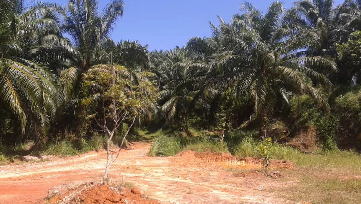 land for sale malaysia