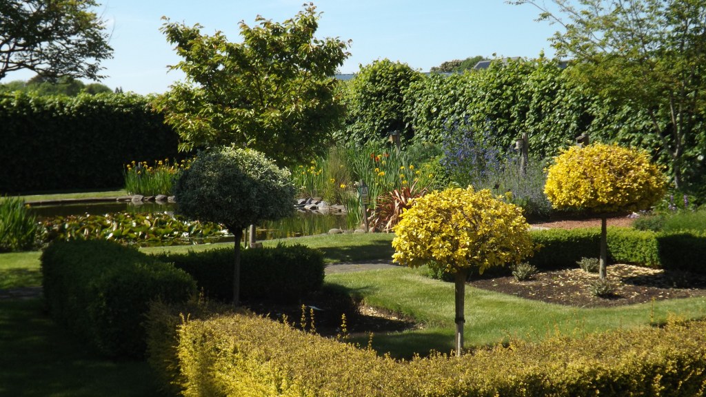 A Trip to Norfolk in June Malcolm & Hazel's space