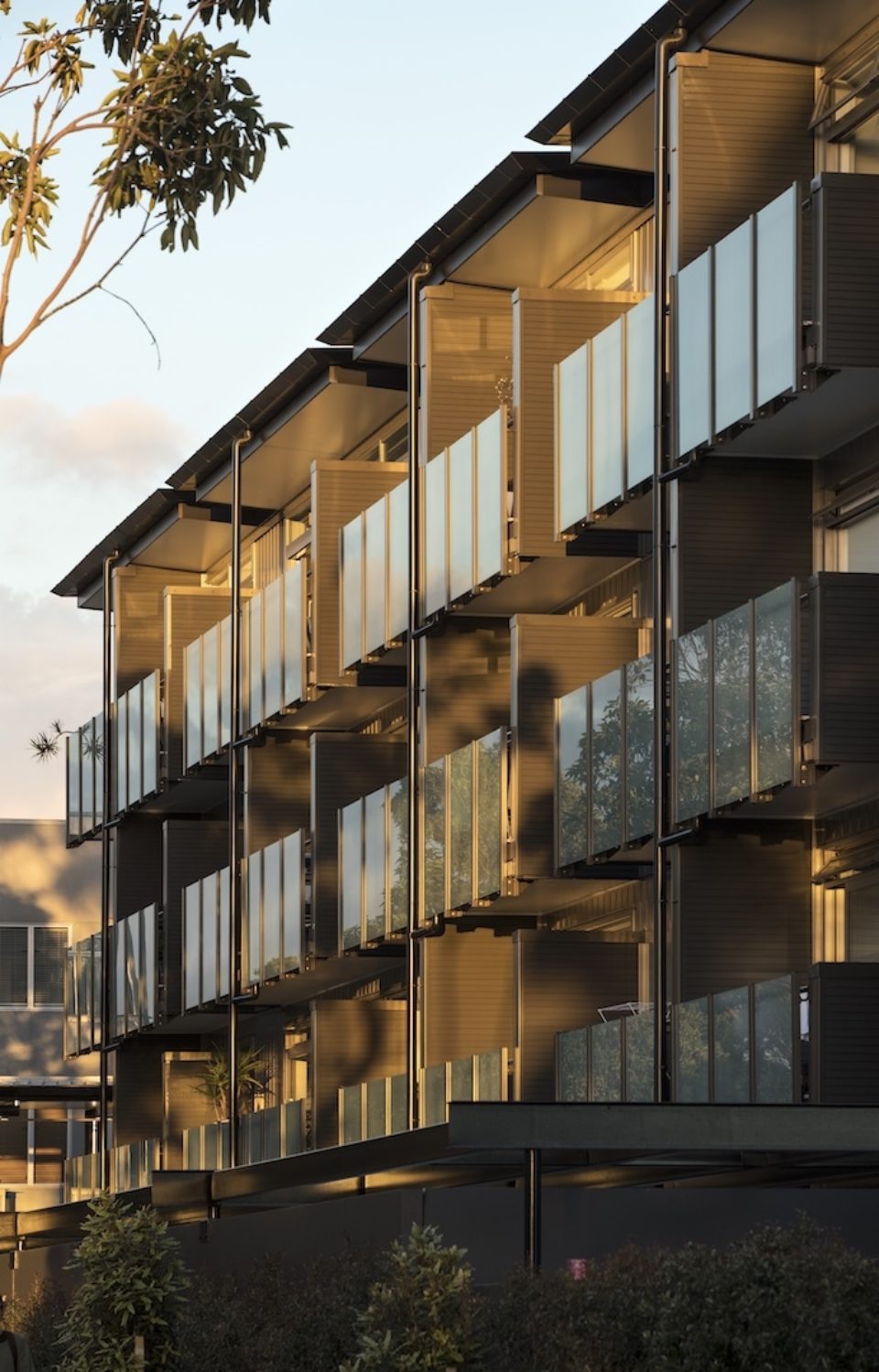 Pulse Apartments Malcolm Taylor and Associates