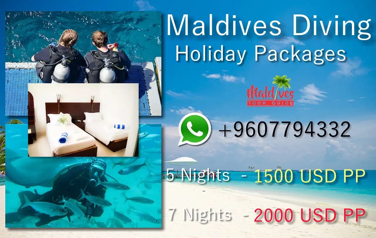 Book Scuba Diving In Maldives