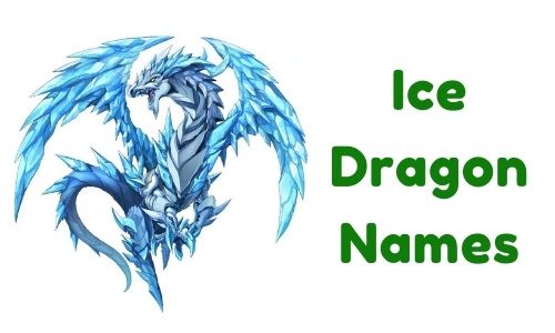 {1000+} » Ice Dragon Names » [ Funny + Unique + Famous + Badass ]
