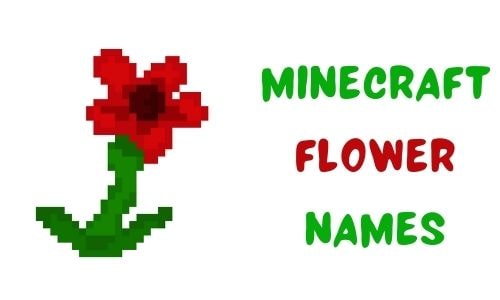 1000+} » Minecraft Flower Names » [ Funny + Unique + Famous ]